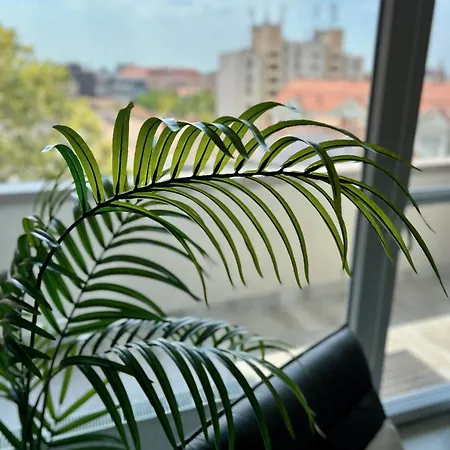Roosevelt Riverside Apartmans *